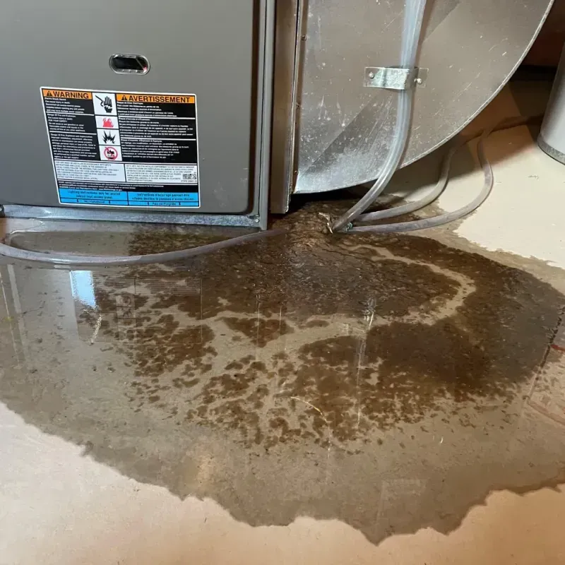 Appliance Leak Cleanup in Riverdale, IL